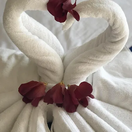 Vicoli Storici Luxury דירה